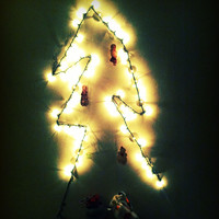 Holidays At Enard Ga...