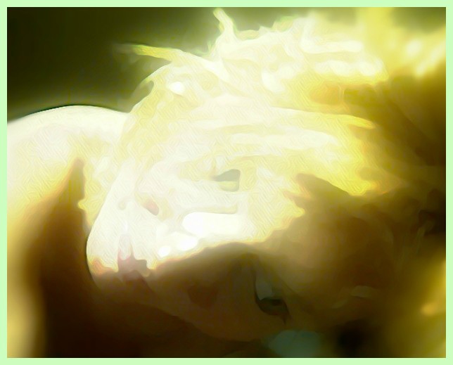 Blonde Highlights And Shadow
