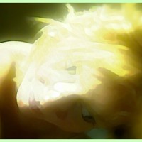 Blonde Highlights An...
