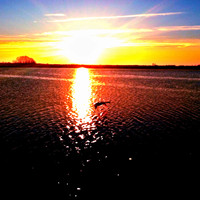 Good Morning Sunshin...