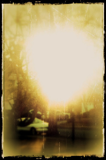 Sunny Day