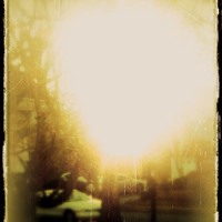 Sunny Day