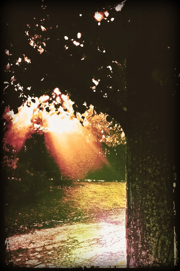 God Shining Down On The Earth