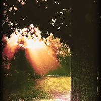 God Shining Down On ...