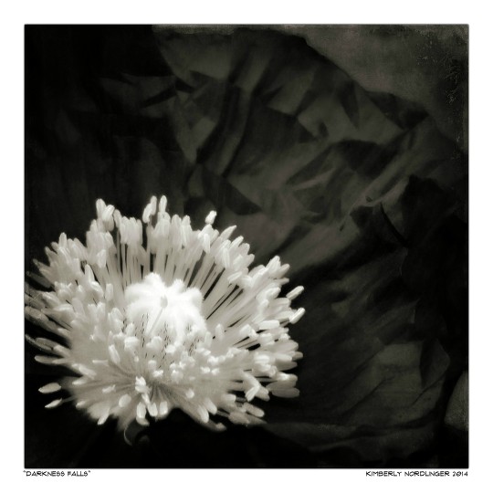 Darkness falls 2003 image